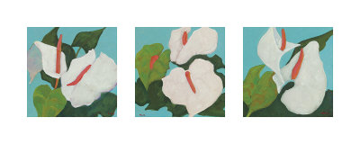 Anthurium Triptych by Audrey Heard Pricing Limited Edition Print image