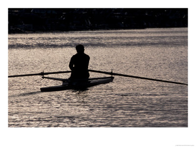 Rower In Portage Bay, Seattle, Washington, Usa by William Sutton Pricing Limited Edition Print image