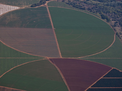 Aerial View Of Colorful Farmlands In South Africa by Beverly Joubert Pricing Limited Edition Print image