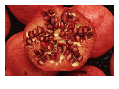 Pomegranates by Dan Gair Pricing Limited Edition Print image