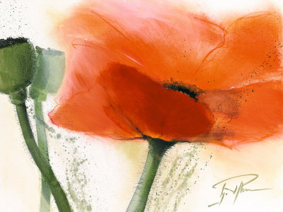 Faszination Mohn Iii by Gerd Pflumm Pricing Limited Edition Print image