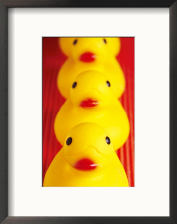 Rubber Duckies In A Row by Fogstock Llc Pricing Limited Edition Print image