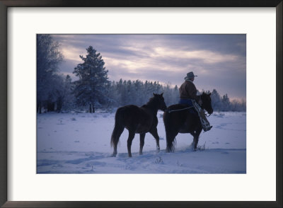 Cowboy Exercising Horses, Bc, Canada by Troy & Mary Parlee Pricing Limited Edition Print image