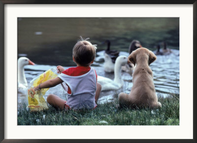 Little Boy And Puppy Looking At Ducks In Pond by Katie Deits Pricing Limited Edition Print image