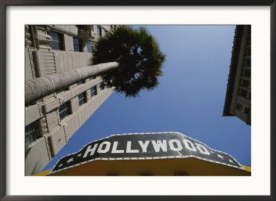A Tour Bus Sign And A Palm Tree Scream Out Hollywood by Stephen St. John Pricing Limited Edition Print image