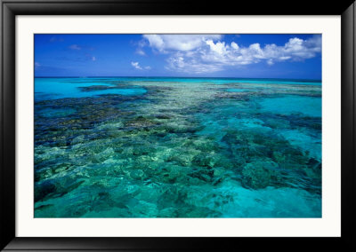 Devil's Backbone, A Ragged Shallow Reef That Borders The Northern End Of Eleuthera, Bahamas by Michael Lawrence Pricing Limited Edition Print image