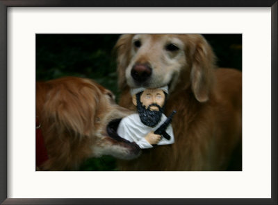 Golden Retrievers Tear Apart An Osama Bin Laden Chew Toy by Stephen St. John Pricing Limited Edition Print image