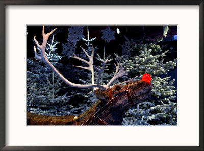 Rudolph With Your Nose So Bright, At Tivoli Gardens, Denmark by Keenpress Pricing Limited Edition Print image