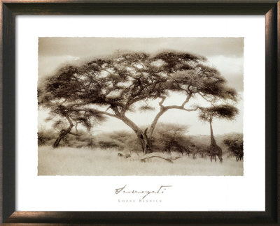 Serengeti Ii by Lorne Resnick Pricing Limited Edition Print image