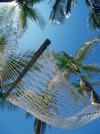 Hammock And Palm Tree, Great Barrier Reef, Northern Caye, Belize by Ron Watts Pricing Limited Edition Print image