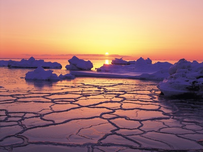 Ice Floes In The Ocean by Masaaki Tanaka Pricing Limited Edition Print image