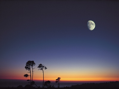 Scenic View Of Moon by Masataka Fukasawa Pricing Limited Edition Print image