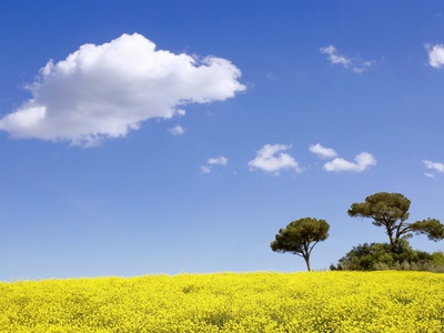 Crete Senesi In Spring by Fabio Muzzi Pricing Limited Edition Print image