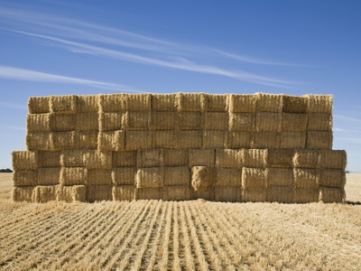 Stacked Bales Of Hay In A Field by Tobias Titz Pricing Limited Edition Print image