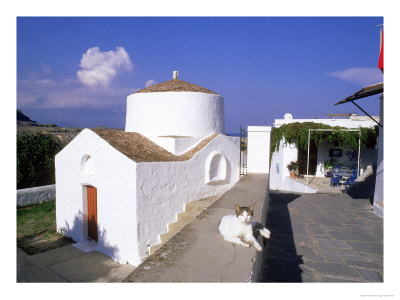 Cat Beside Church In Lindos, Greece by Ian West Pricing Limited Edition Print image