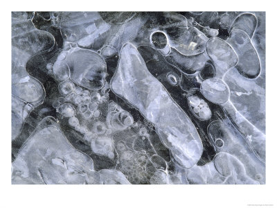 Air Bubbles In Ice by Mark Hamblin Pricing Limited Edition Print image