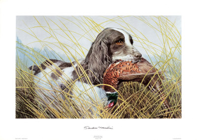 Cocker Spaniel by Sandro Nardini Pricing Limited Edition Print image