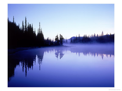 Reflection Lake At Dawn With Silhouetted Pines, Washington, Usa by Mark Hamblin Pricing Limited Edition Print image