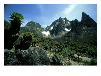 Mount Kenya, Kenya by David W. Breed Pricing Limited Edition Print image