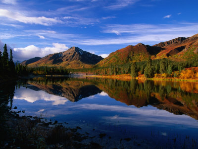 Denali National Park In Alaska, Denali National Park & Preserve, Usa by Mark Newman Pricing Limited Edition Print image