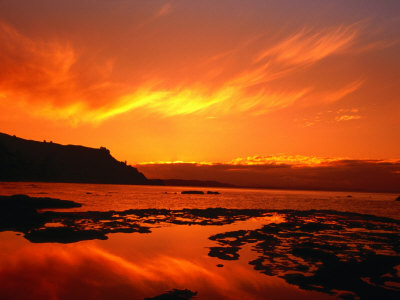 Sunset Over Beach On Goat Island, New Zealand by Jenny & Tony Enderby Pricing Limited Edition Print image