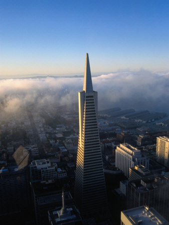 Aerial View Of Transamerican Pyramid Building, San Francisco, Usa by Lee Foster Pricing Limited Edition Print image