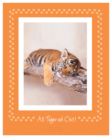 All Tiger-Ed Out by Rachael Hale Pricing Limited Edition Print image