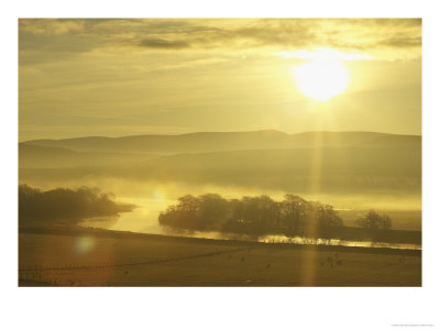 Mist Over River Spey At Sunrise, Scotland by Mark Hamblin Pricing Limited Edition Print image