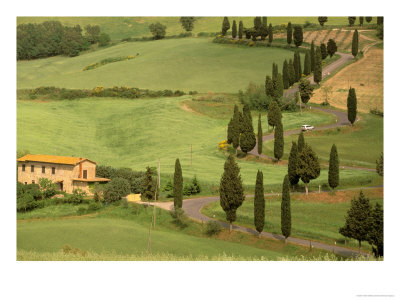 Winding Tuscan Road, Monticchiello, Tuscany, Italy by Walter Bibikow Pricing Limited Edition Print image