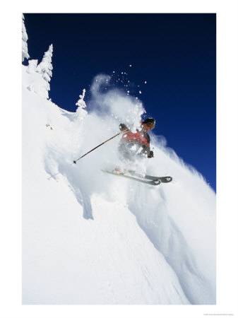 Skier In Powder At Big Mountain Resort, Whitefish, Montana, Usa by Chuck Haney Pricing Limited Edition Print image