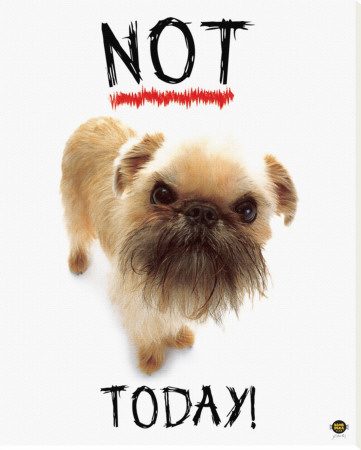 Not Today! by Yoneo Morita Pricing Limited Edition Print image