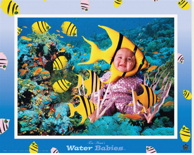 Water Babies, Yellow Fish by Tom Arma Pricing Limited Edition Print image