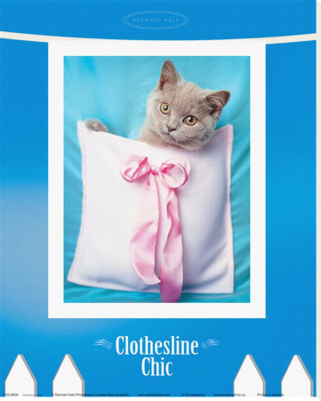 Clothesline Chic by Rachael Hale Pricing Limited Edition Print image
