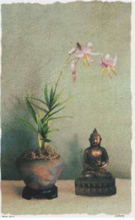 Bronze Buddha by Judy Mandolf Pricing Limited Edition Print image
