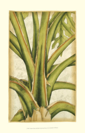 Graphic Palms Iii by Jennifer Goldberger Pricing Limited Edition Print image