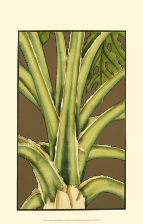 Graphic Palms On Khaki Iii by Jennifer Goldberger Pricing Limited Edition Print image