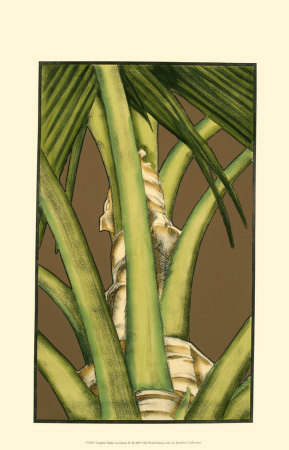 Graphic Palms On Khaki Iv by Jennifer Goldberger Pricing Limited Edition Print image