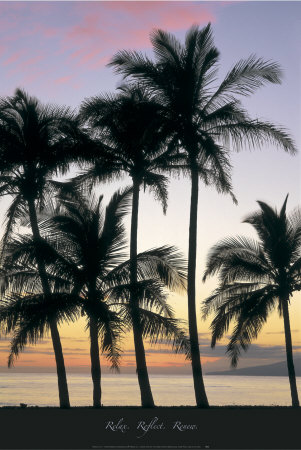 Twilight Palms by Larry Ulrich Pricing Limited Edition Print image