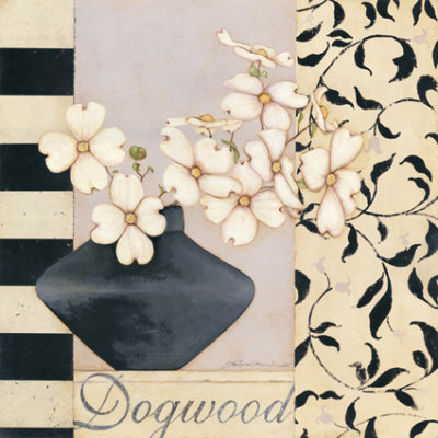 Dogwood by Stephanie Marrott Pricing Limited Edition Print image
