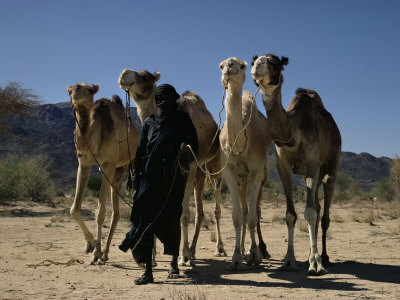 Air Mountains, Niger, Africa by Jon Hart Gardey Pricing Limited Edition Print image