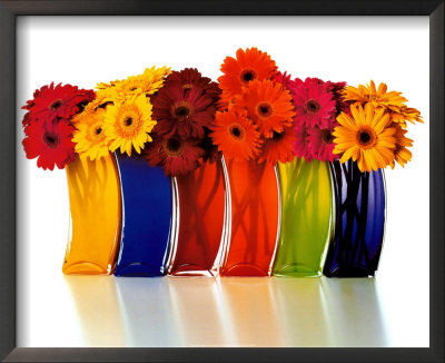 Rainbow Vases by Kevin Summers Pricing Limited Edition Print image