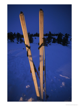 Cross-Country Skis Standing Upright At A Snow Camp At Dusk, Tahoe National Forest, California by Phil Schermeister Pricing Limited Edition Print image