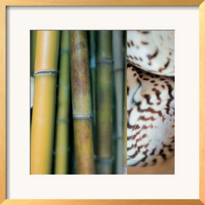 Bamboo Ii by Jennifer Broussard Pricing Limited Edition Print image