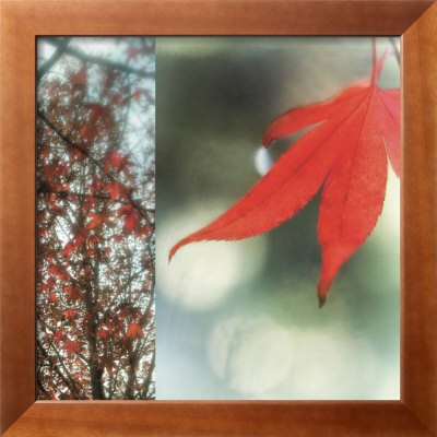 Autumn Leaves I by Jennifer Broussard Pricing Limited Edition Print image