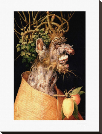 Winter by Giuseppe Arcimboldo Pricing Limited Edition Print image