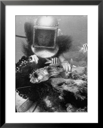 Diver Meddling Around With A Blowfish In Hartley's Underwater Movie In Bermuda by Peter Stackpole Pricing Limited Edition Print image