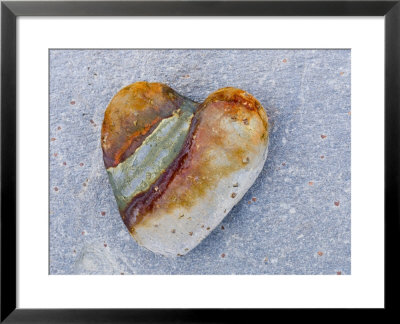 Heart-Shaped Pebble, Scotland, Uk by Niall Benvie Pricing Limited Edition Print image