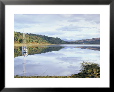 Yacht On Loch Feochan In Autumn, Argyll And Bute, Scotland, United Kingdom by Pearl Bucknall Pricing Limited Edition Print image