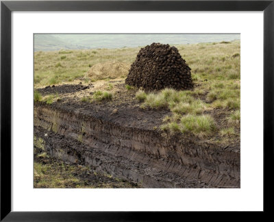 Peat Cutting, Connemara, County Galway, Connacht, Republic Of Ireland by Gary Cook Pricing Limited Edition Print image