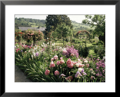 Garden, Monet's House, Giverny, Haute Normandie (Normandy), France by Ken Gillham Pricing Limited Edition Print image